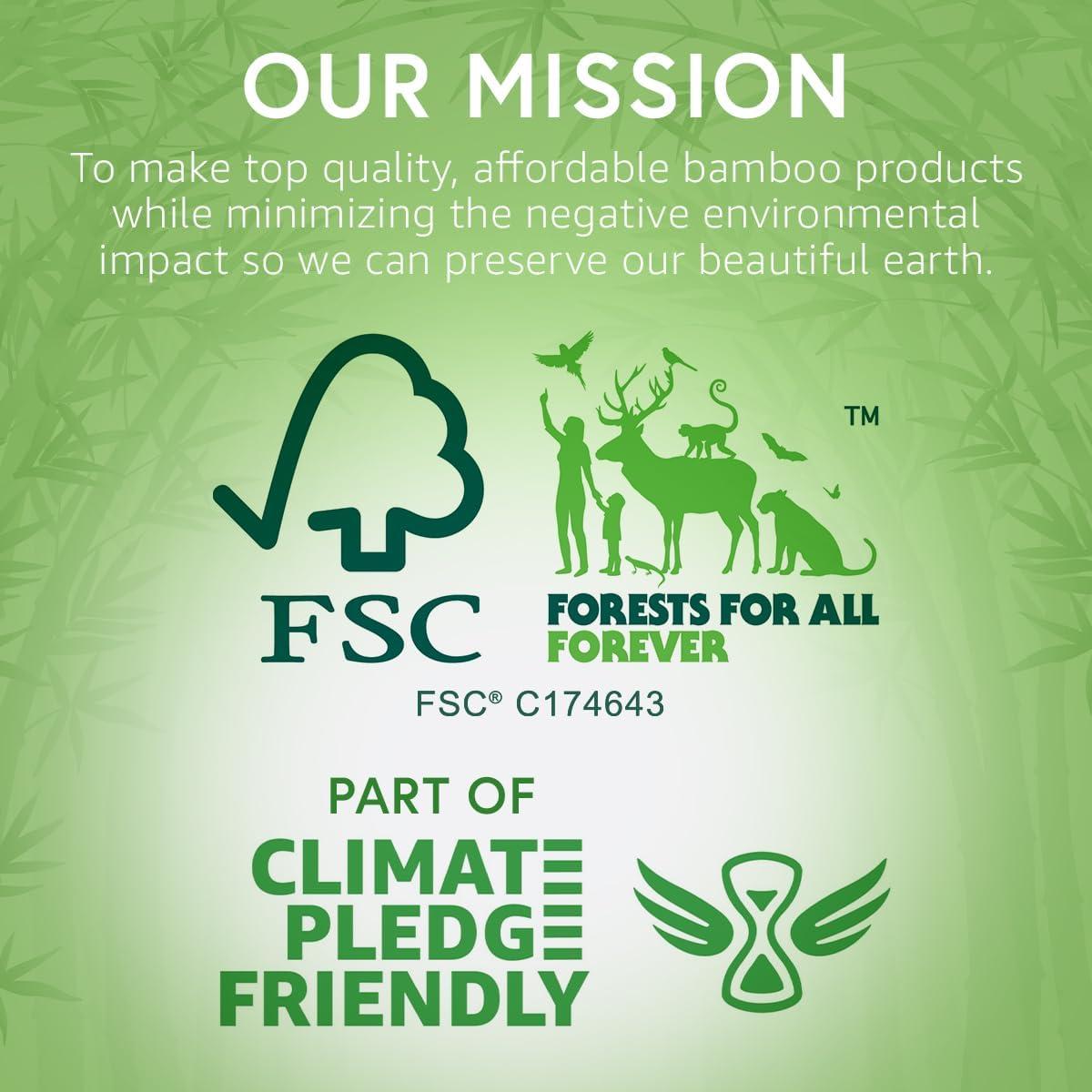 ibambo ibambo 500 Pack Disposable Bamboo Paper Plates (7 inch) - Sturdy & Heavy Duty | PFAS Free, Biodegradable & Compostable | Microwave Safe, FSC Certified Alternative to Plastic