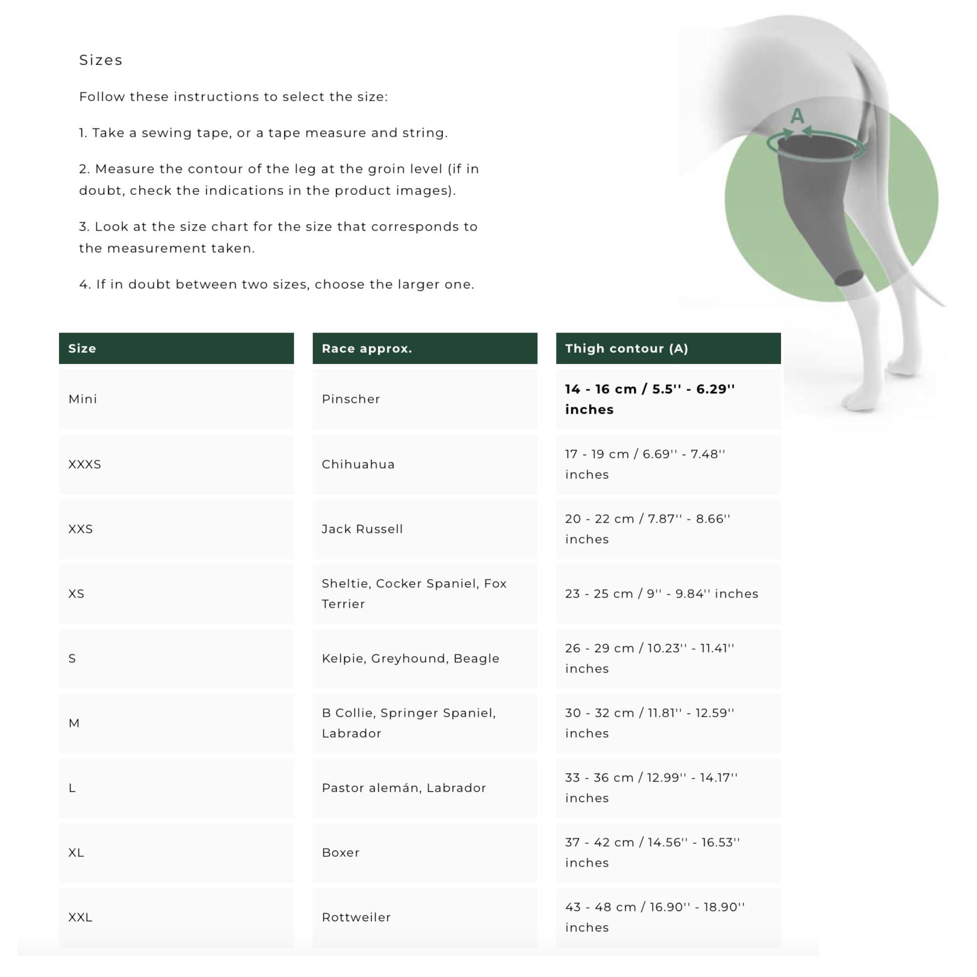 Ortocanis Ortocanis Dog Knee Brace for Torn Acl Hind Leg, Ligament Rupture and Patella Luxation - Dog Acl Knee Brace - Dog Braces for Back Leg for Support - Dog Back Leg Support Brace (Size S, Left Leg)