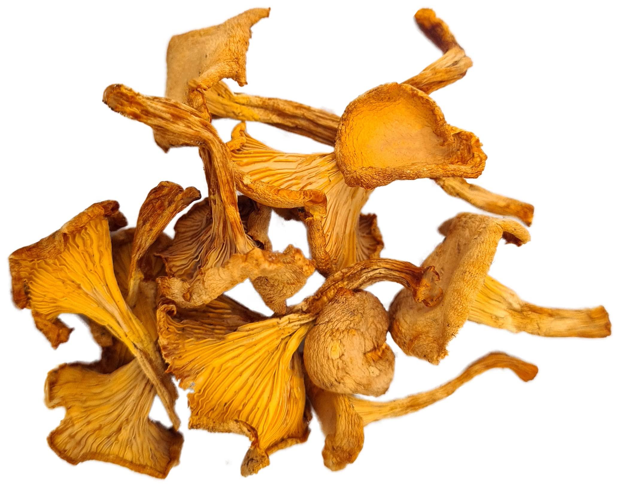Forest Food Shop Forest Food Shop Dried Chanterelle Mushrooms 3 Ounce Handpicked from Wild Forests, Air-Dried Mushrooms, Sourced by a Small Family Business, Ideal for Cooking and Gourmet Recipes.