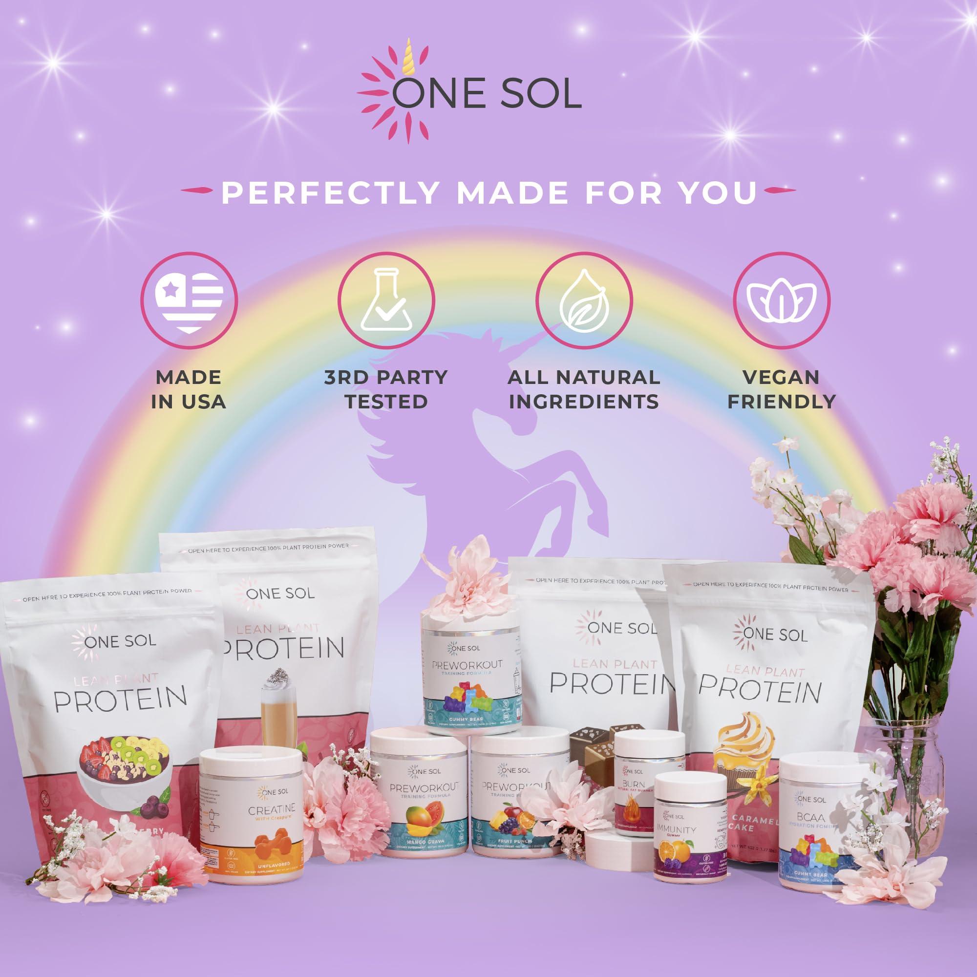 One Sol One Sol Protein Powder, Lean & Low Carb, No Bloating, Gluten Free, Lactose-Free, No Sugar Added, Soy Free, Non-GMO, 100% Plant-Based & Vegan Friendly (Unicorn Milkshake)