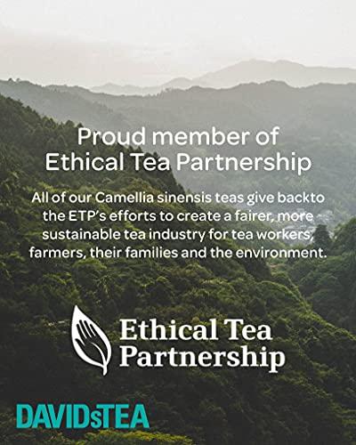 DAVIDsTEA DAVIDsTEA Organic Japanese Sencha Sachets Tea Bags, Premium Green Tea in 65 Sachet Tea Bags, 97.5 g / 3.43 oz