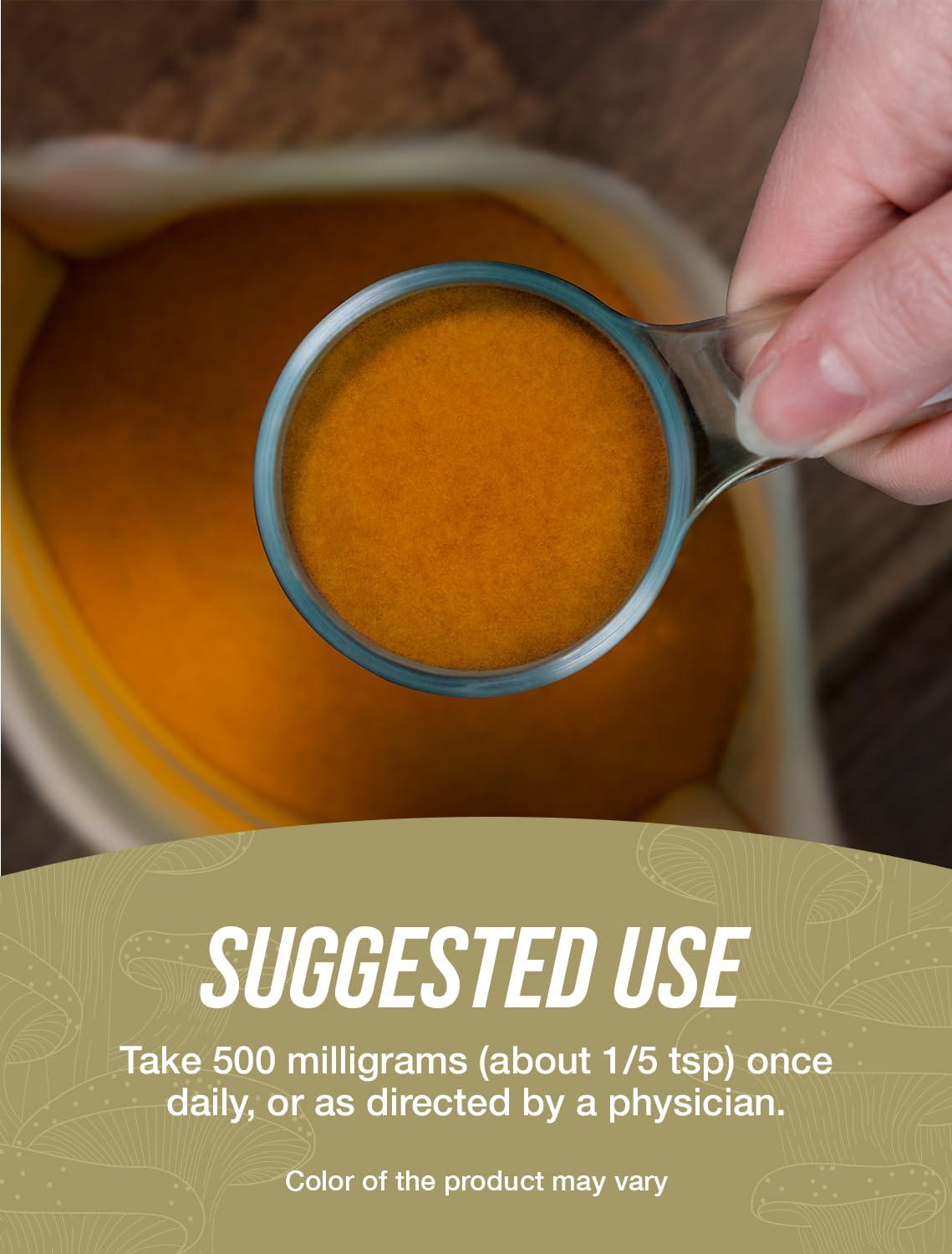 BulkSupplements BulkSupplements.com Black Fungus Mushroom Extract Powder - Mushroom Supplement, Wood Ear Muhsrooms Powder - Gluten Free, 500mg per Serving, 100g (3.5 oz) (Pack of 1)