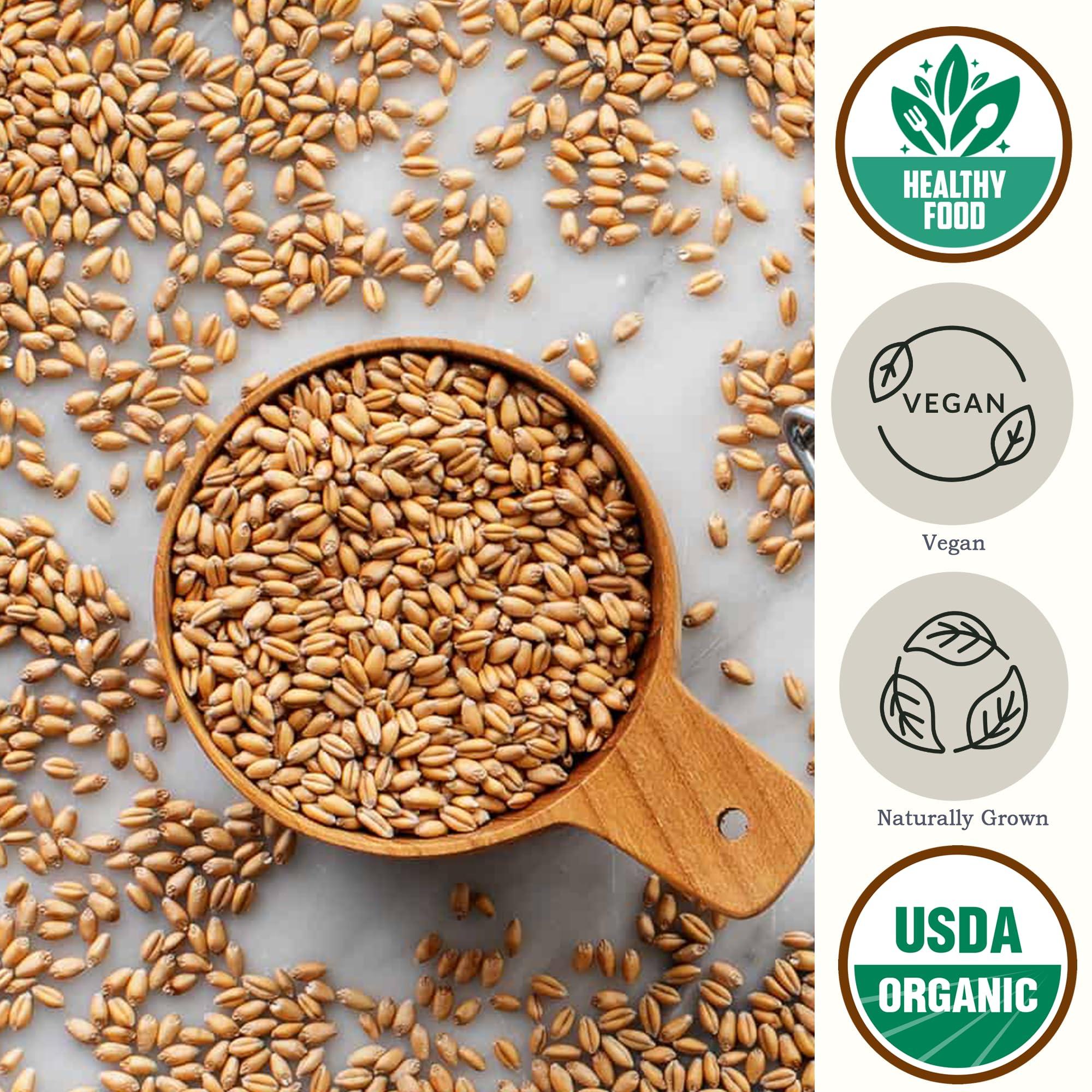 Be Still Farms Be Still Farms Organic Hard Red Wheat Berries (4.8lb) - Healthy Diet Whole Grains Bulk - Ideal for Soups, Salads, Flour, Bread - High in Fiber & Protein | USA Grown | USDA Certified | Vegan | Non-GMO