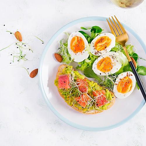 Elan Elan Organic Chia Seeds, 8.8 oz, Natural Raw Black Chia Seeds, Plant-Based, Non-GMO, Vegan, Gluten-Free, Kosher, Gels Easily, Superfood