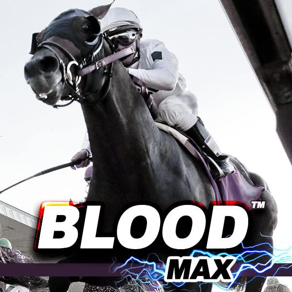Blood Max Blood Max (3 lbs.) - Performance Red Blood Cell Health Builder for Horses - 100% Absorbable Iron, Copper, Zinc & B Complex Vitamins