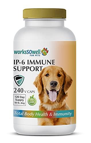 1-TDC WorksSoWell IP-6 Immune Support for Dogs – 240 V-Caps – Helps Promote Healthy Bones, Teeth, Kidney, Liver Functions and Cardiovascular Health – Total Body Health and Immunity