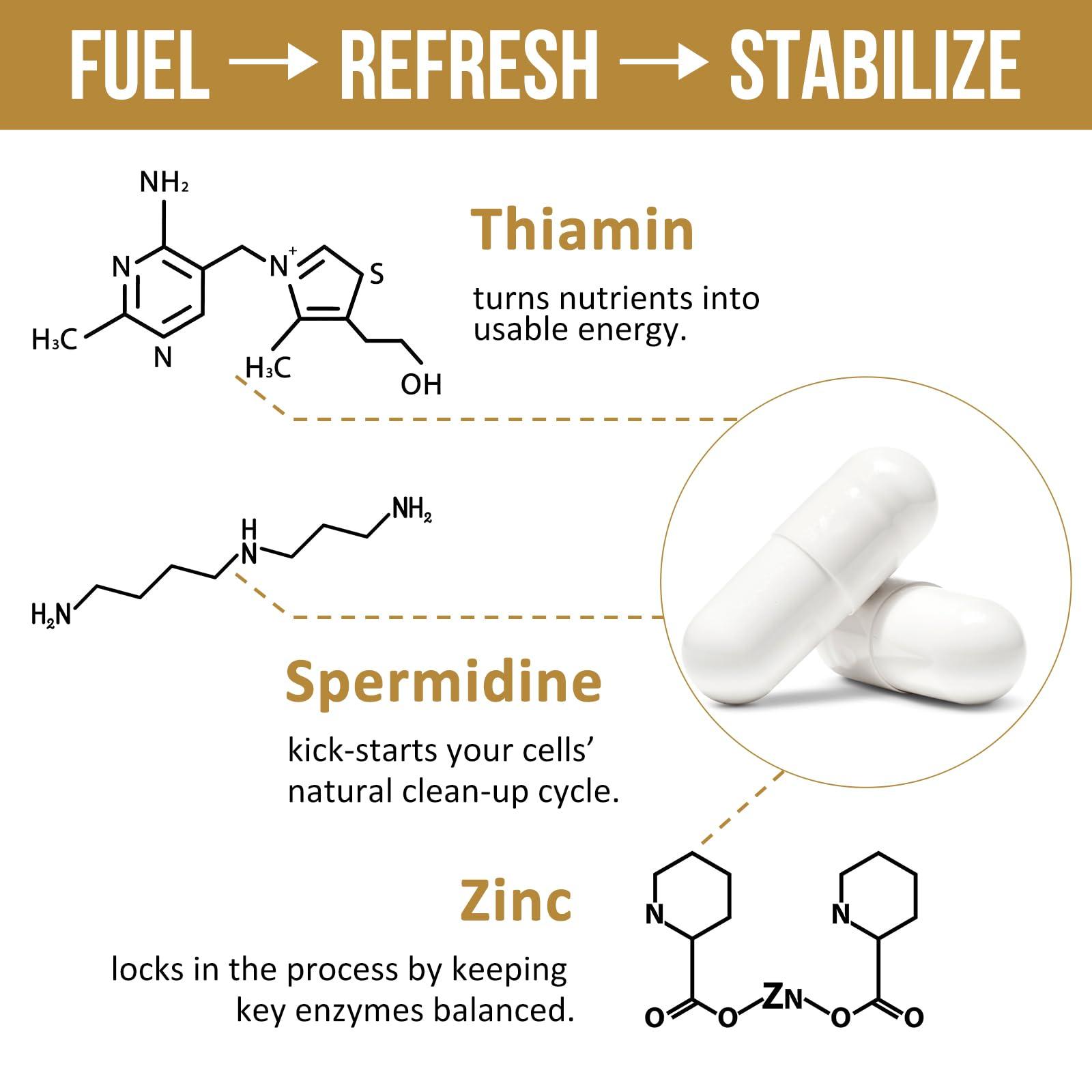 Thalacy Spermidine Supplements 13mg - 1300mg Wheat Germ Extract Capsules Potent Formula with Higher Spermidine Content and Zinc for Healthy Aging, Daily Immune System and Cell Renewal (6 Pack)