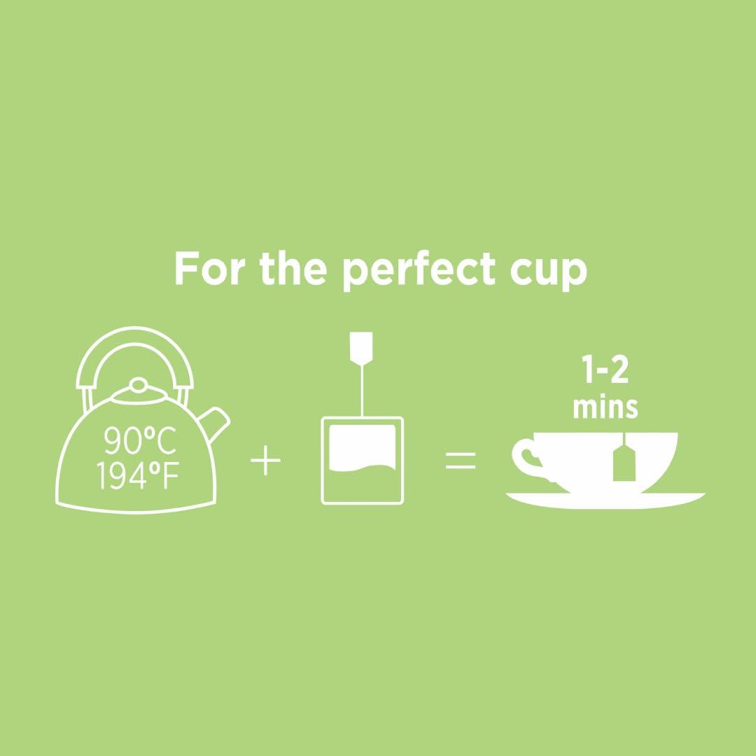 Taylors of Harrogate Taylors of Harrogate White Hibiscus & Peach Green Tea, 20 Teabags (Pack of 3)