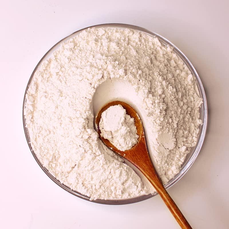 ALOHA ALOHA Organic Plant Based Protein Powder Bundle, Vanilla 19.6 oz & Chocolate 19.6 oz, 15 Servings Each