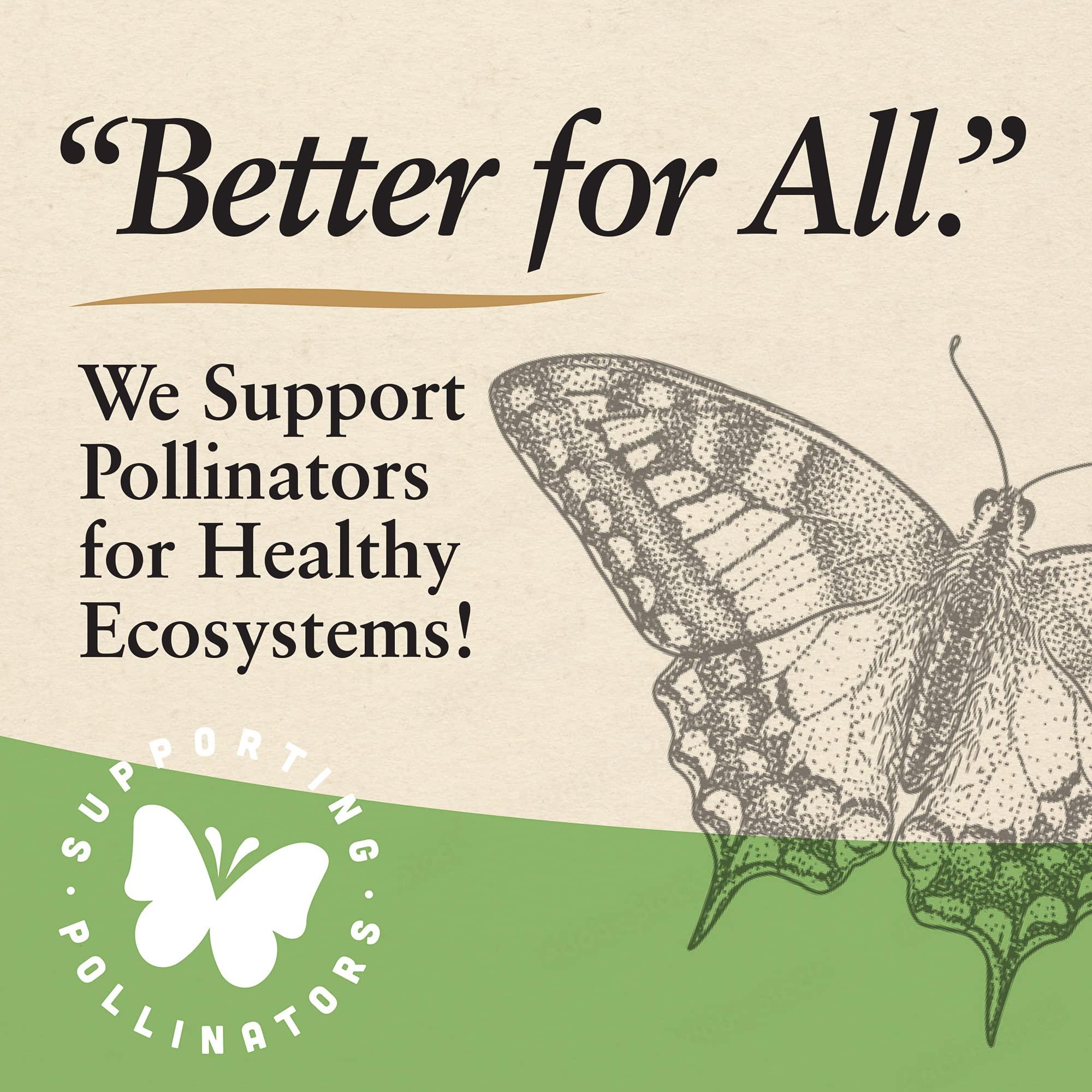 Black Jewell Black Jewell Gourmet Specialty, Natural, 10.5 Ounces (Pack of 6)