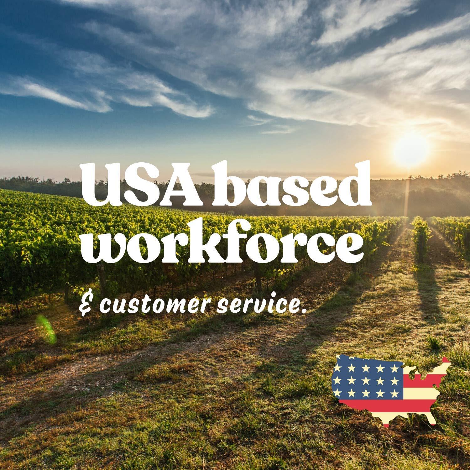 Handy Pantry Organic Dried Green Lentil Sprouting Seed: 8 Oz - Dry Lentils for Planting Garden Seeds, Soup, Cooking or Sprout Salad, Sprouts