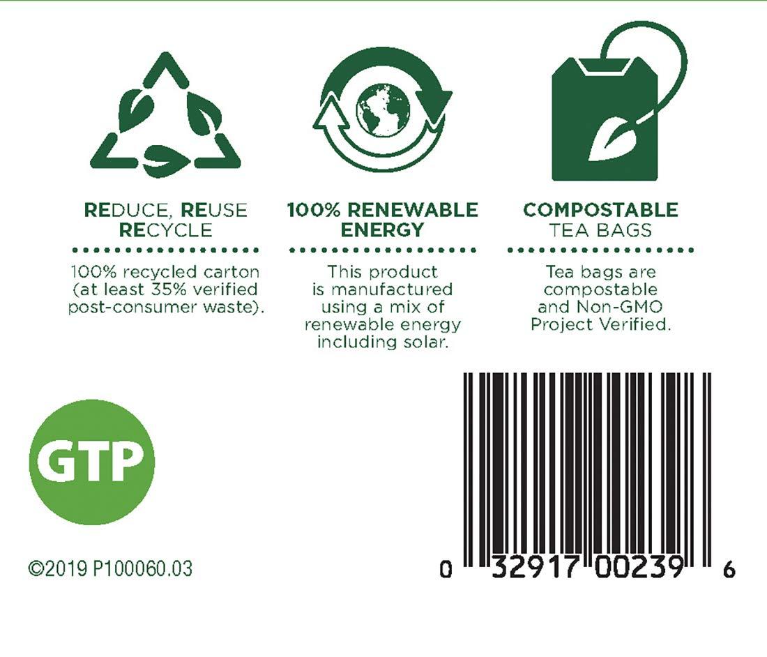 Traditional Medicinals Traditional Medicinals Organic Green Tea Peppermint Tea, 16 Tea Bags