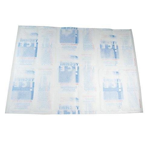 Techni Ice Techni Ice Standard 2 Ply Disposable/One to Two-time Use Dry Ice Replacement Sheets (10)