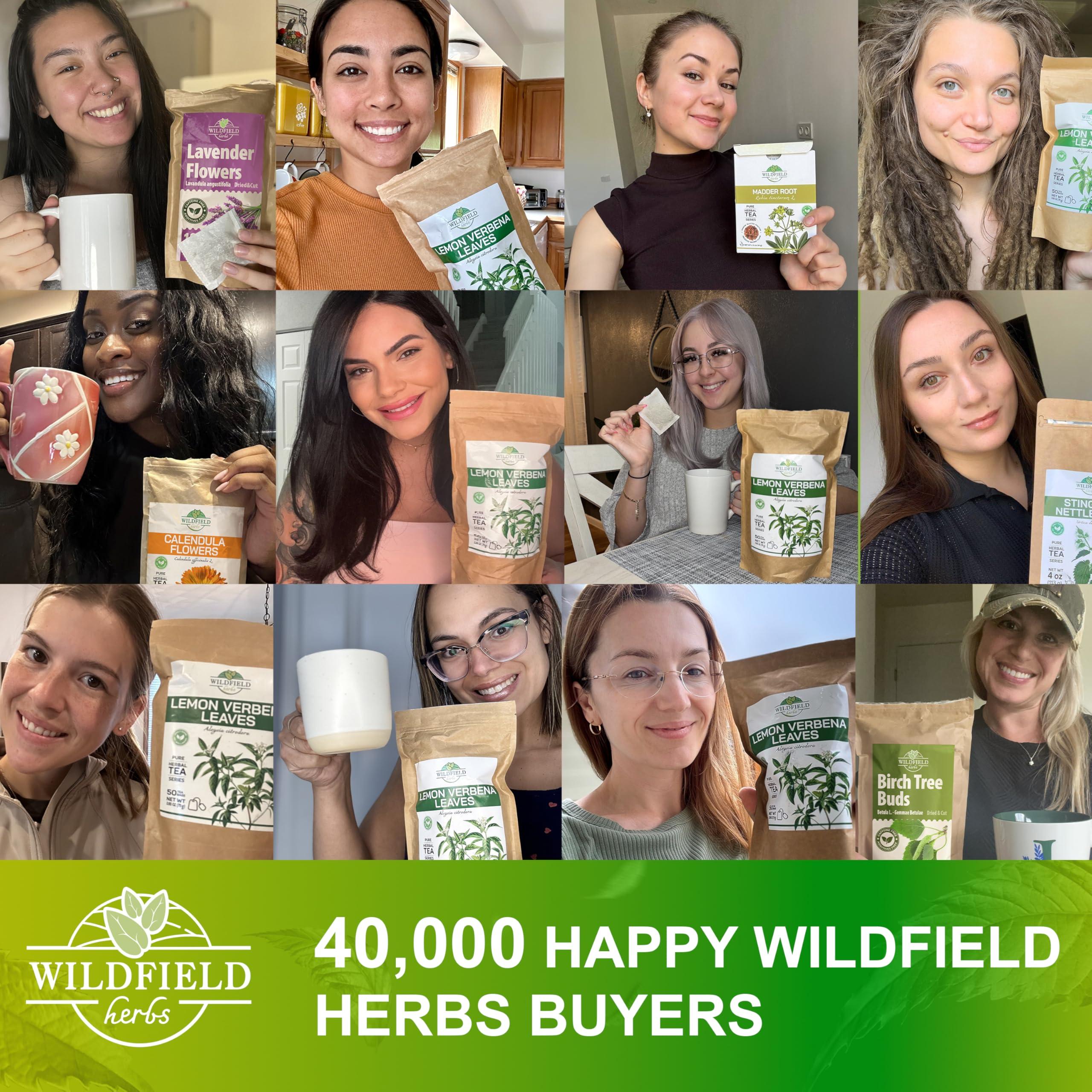 WILDFIELD HERBS 100 Ginger Tea Bags Ginger Root Tea Dry Dried Herb (Zingiber officinale) - 100 Count 1.5g Tea Bags Ginger Raz de jengibre