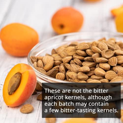 NY SPICE SHOP NY SPICE SHOP Sweet Raw Apricot Seed - 1 (Pound) Sweet Apricot Kernels - Apricot Seeds - Sunfood Apricot Kernels - Seed Apricot - Apricot Seeds Raw - Apricot Kernals – Great source of Vitamin