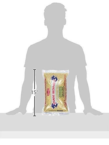 Dynasty Dynasty Jasmine Brown Rice, 5 Pound (Pack of 6)