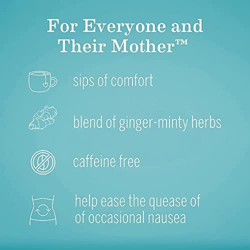 Earth Mama Earth Mama Organic Ginger Nausea Tea | Comforts Occasional Nausea + Morning Sickness, 16 Teabags Per Box (6-Pack)