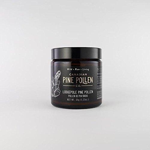 CANADIAN LODGEPOLE PINE POLLEN Canadian Pine Pollen Lodgepole Pine Pollen Powder, 30 GR