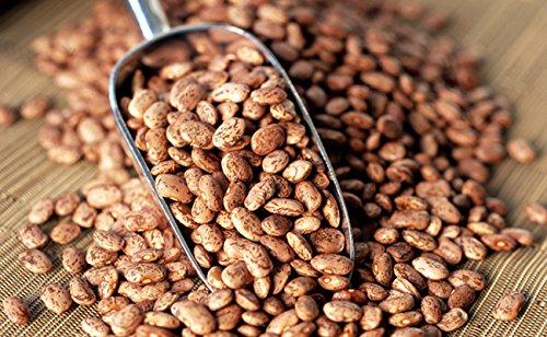 River head Organic Bulk Pinto Beans | 100% natural | Premium Quality 35 lbs