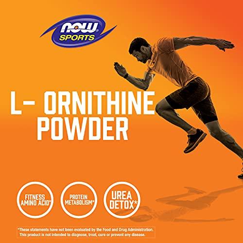 NOW NOW Sports Nutrition, L- Ornithine Powder, Protein Metabolism* and Urea Detox*, Amino Acids, 8-Ounce