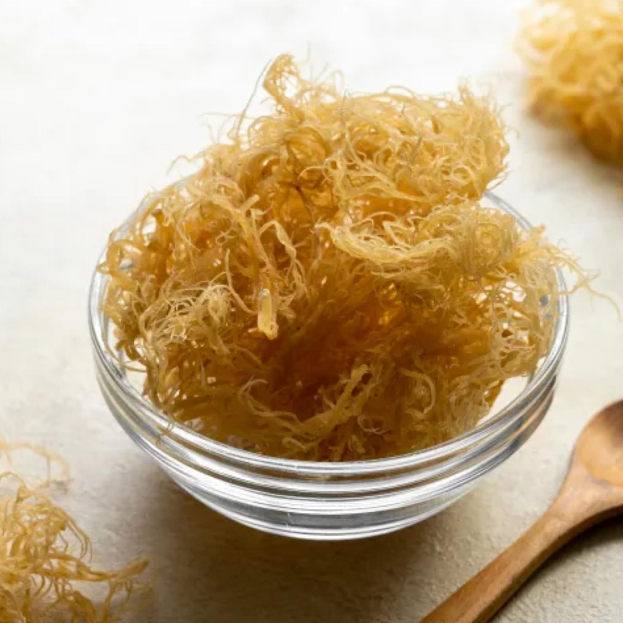 Earthborn Elements Earthborn Elements Irish Sea Moss 200 Capsules, Pure & Undiluted, No Additives