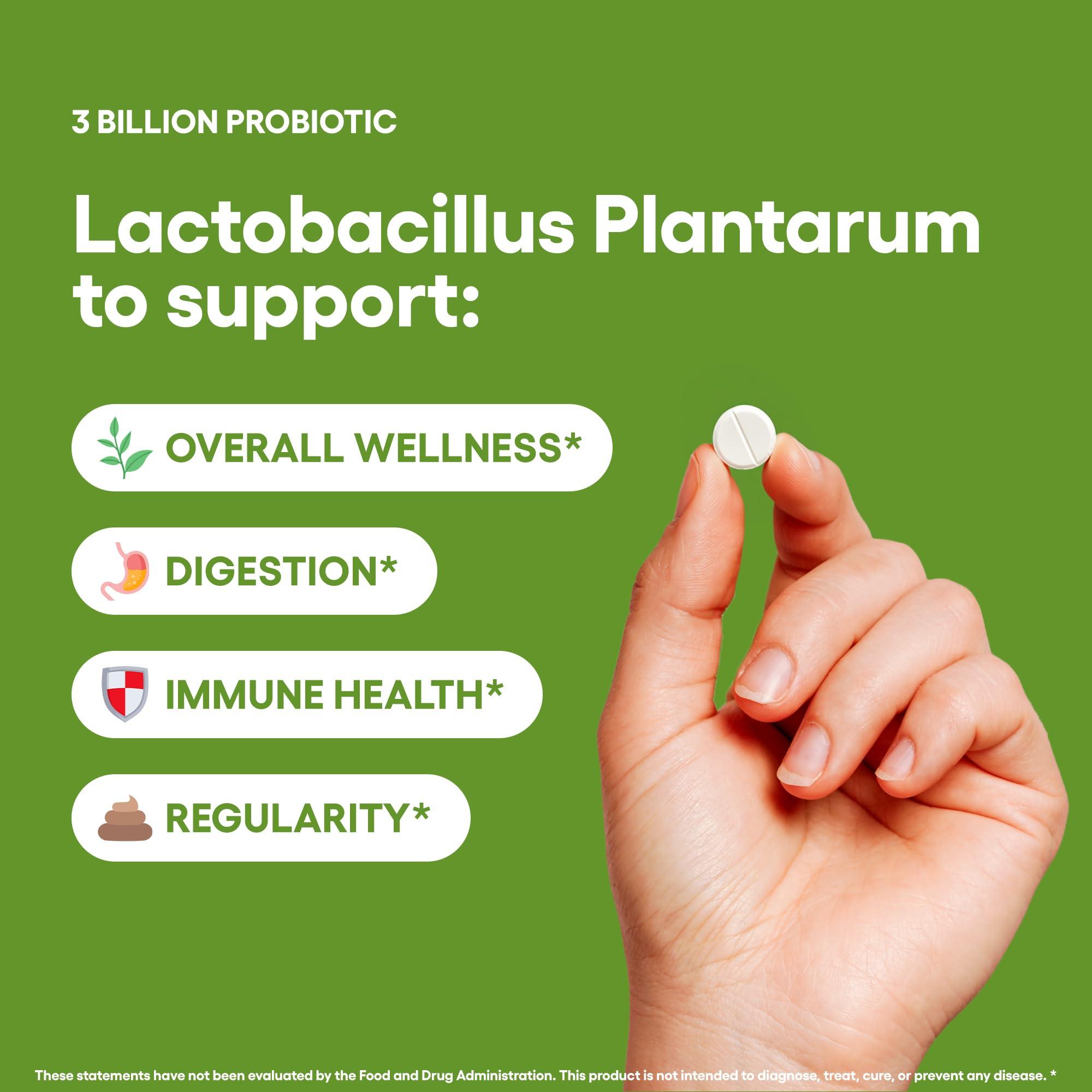 Natural Foundation Supplements Lactobacillus Plantarum Probiotic Supplement 240 Tablets 3 Billion CFU Probiotics for Men & Women Supports Intestinal Digestive & Gut Health Made in The USA (240, Lactobacillus Plantarum)