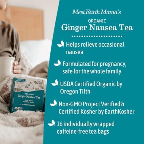 Earth Mama Earth Mama Organic Ginger Nausea Tea | Comforts Occasional Nausea + Morning Sickness, 16 Teabags Per Box (6-Pack)