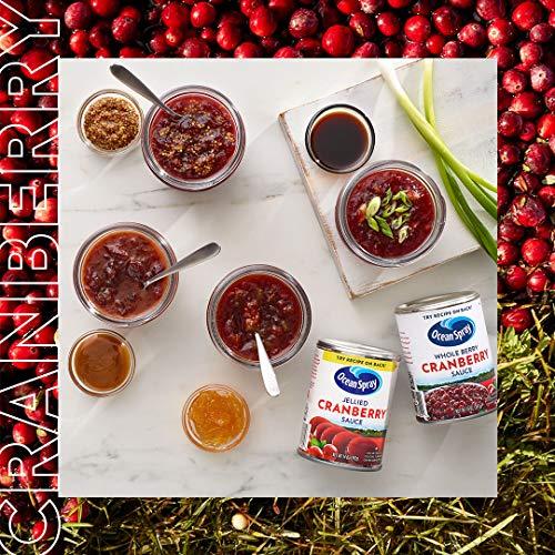 Ocean Spray Ocean Spray Cranberry Sauce Jellied, 14-Ounce Bottles (Pack of 24)