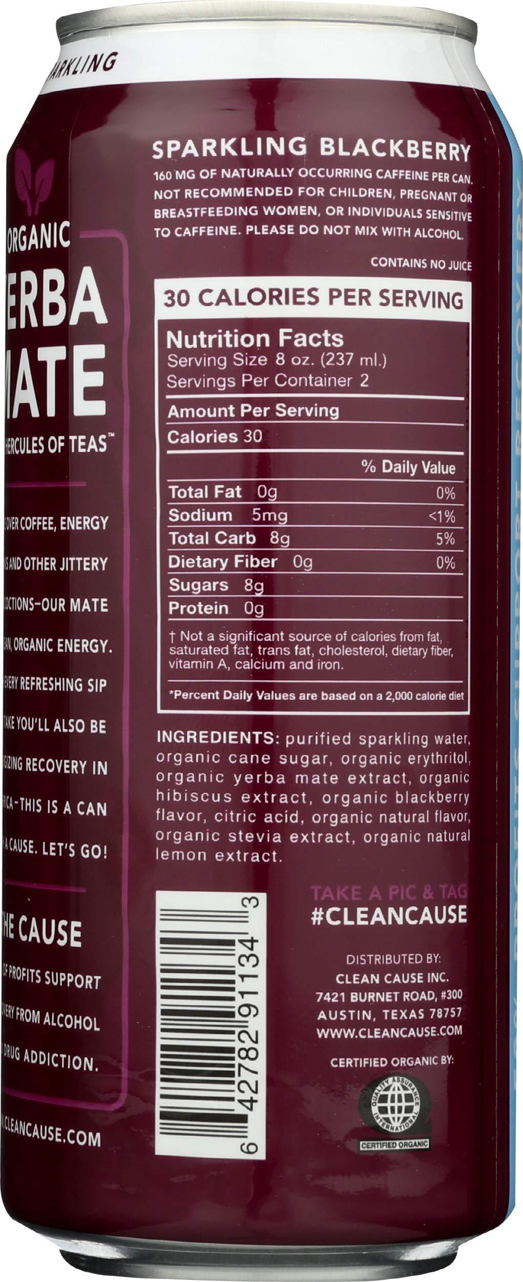 Clean Cause Clean Cause Sparkling Blackberry Yerba Mate - 16 Ounces (Case of 12)