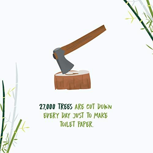 NooTrees NooTrees Bamboo Toilet Tissue, Tree Free, Biodegradable, Sustainable, Renewable and FSC Certified 3-ply Toilet Paper 300 Sheets, 4 Rolls, 1-Pack