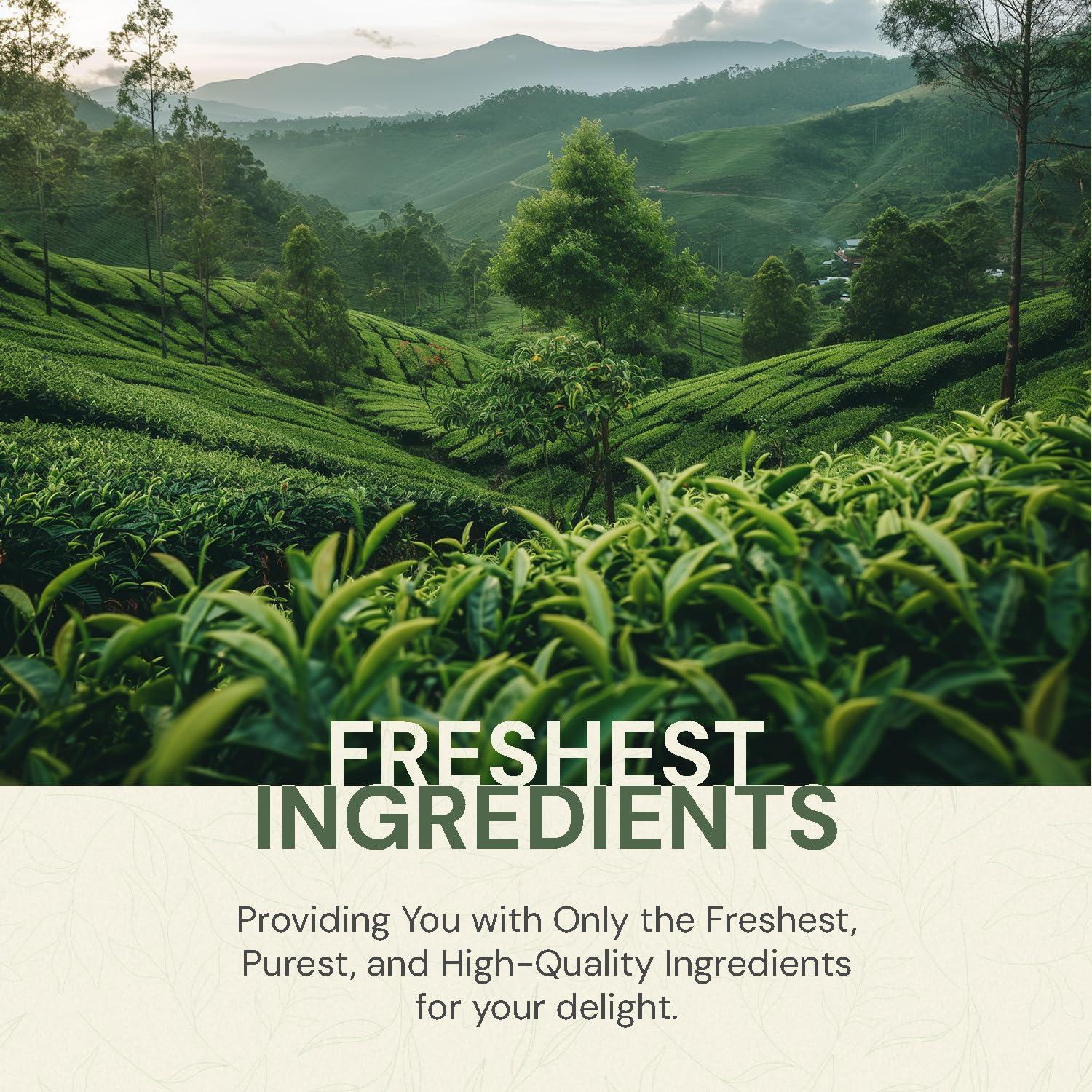 Basilur Basilur | Gift Tea Set | Floral Fantasy Volume 01 | Collectable Metal Tin Caddy | Pure Ceylon Green Leaf Tea with Hibiscus Flower, Peppermint and Rose flower| 100g /3.52 oz