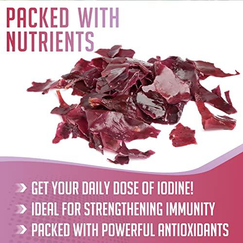 XPRS Nutra XPRS Nutra Dulse Powder (Palmaria Palmata) - Canadian Wildcrafted Nova Scotia Dulse Powder for Thyroid and Bones - Vegan Friendly Atlantic Dulse Powder (4 Ounce)