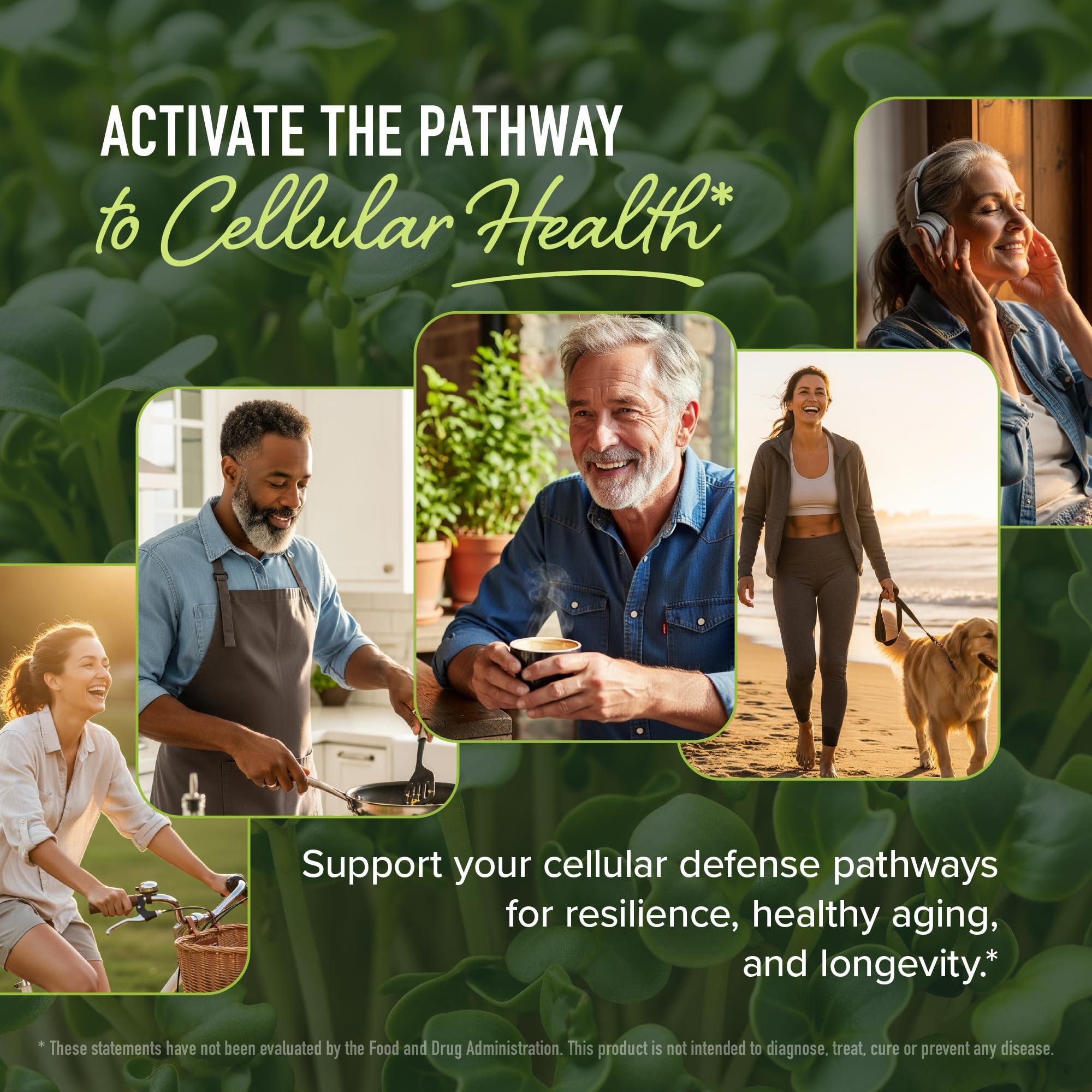 SMNutrition 50MG Sulforaphane Supplement from Broccoli Sprouts | NRF2 Activation with Glucoraphanin, Myrosinase & Antioxidants | Support Cellular & Immune Health | Broccoli Seed Microbeadlets, Vegan 60 Count