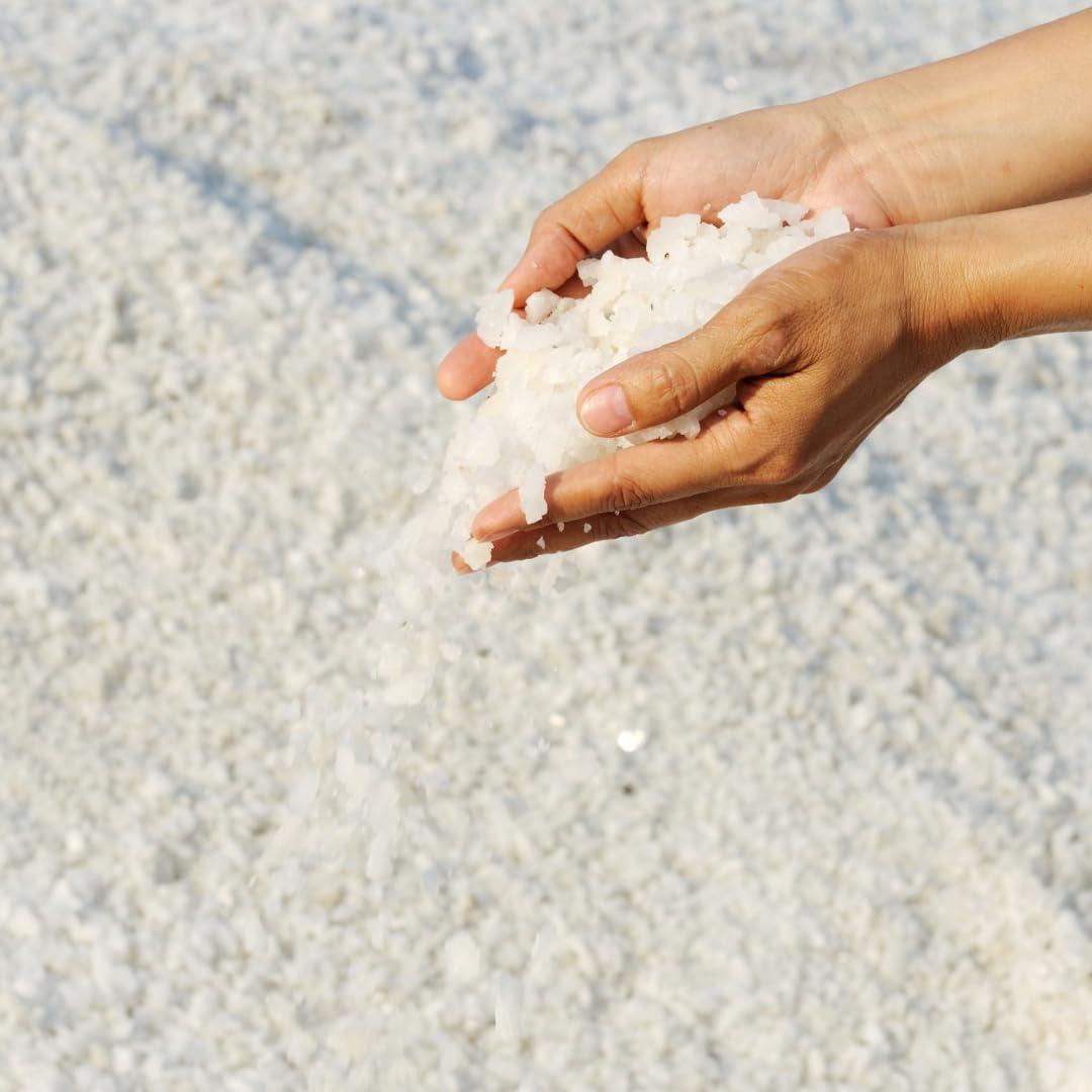 ALEBRIXES Alebrixes | Premium Grade Colima Sea Salt 2.20 Lb (1 kg) | 100% Natural Sea Salt | Sal de Colima 100% Natural | Imported from Mexico