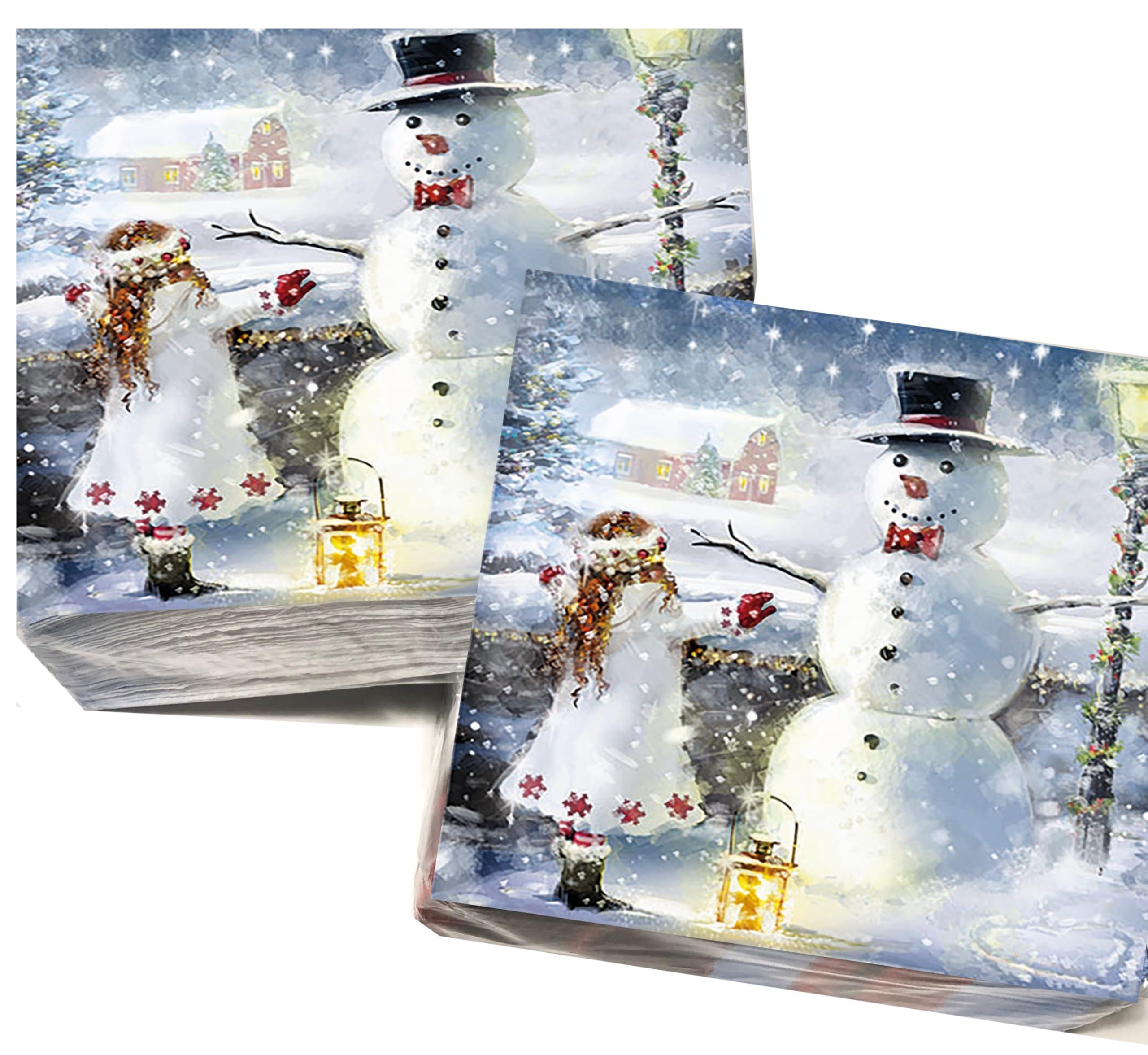 Generic 20-ct 13x13 Christmas Napkins for Decoupage Snowman Napkins Christmas Paper Napkins Christmas Napkins Paper Beautiful Winter Napkins Christmas Cocktail Napkins for Kids Embrace Cute Girl Napkins