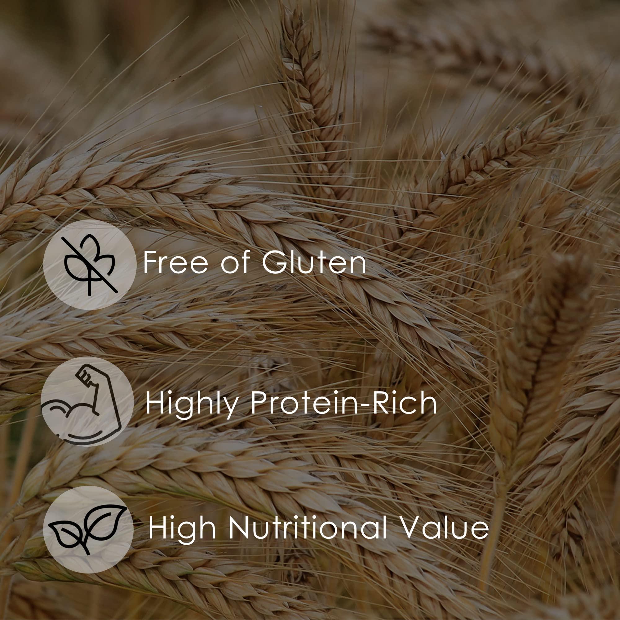 MotherKart Motherkart Jau (Barley) Flour 1 KG