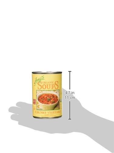 Amy\'s Amy\'s Organic Chunky Vegetable Soup, Low Fat, 14.3-Ounce