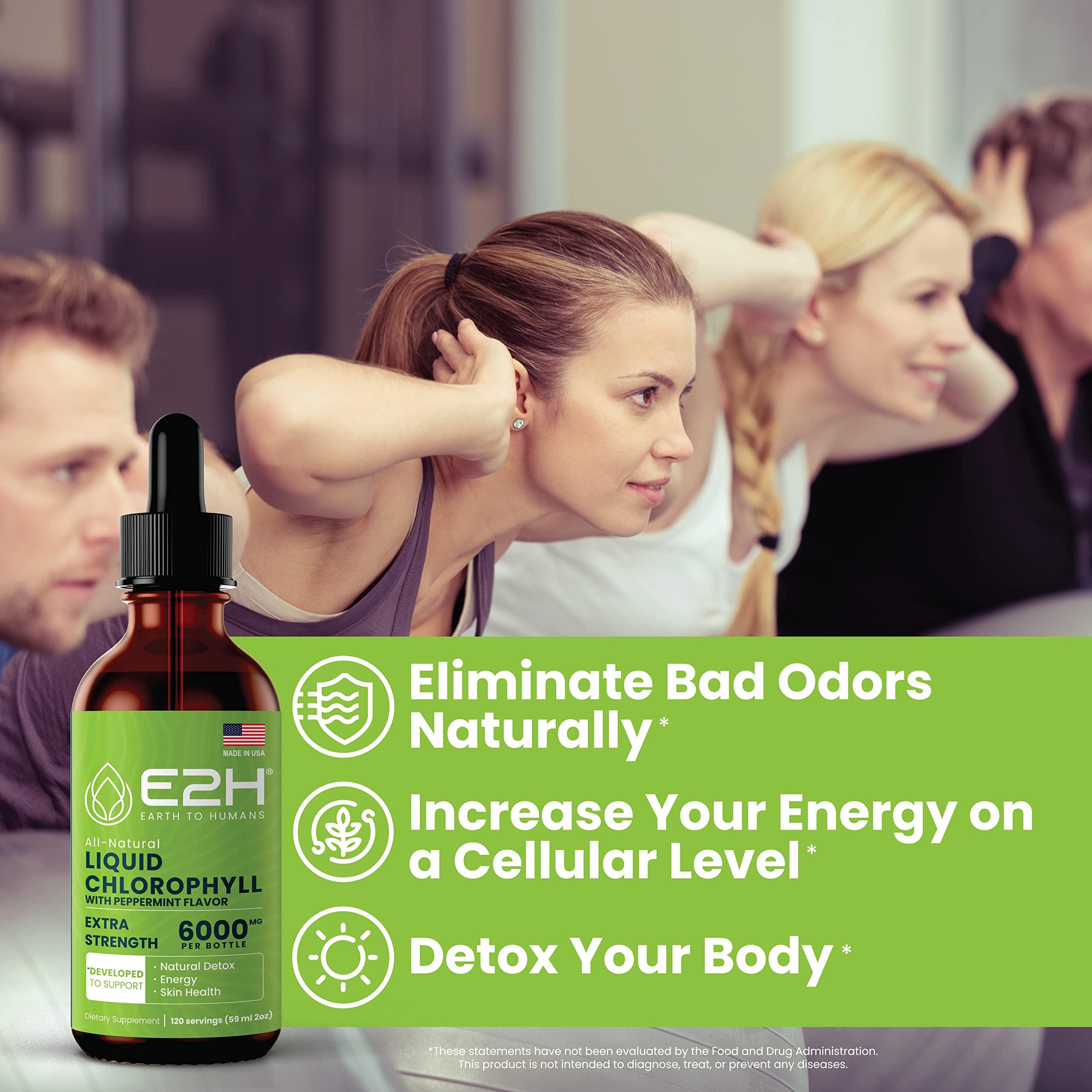 E2H EARTH TO HUMANS E2H Chlorophyll Liquid Drops - Natural Energy Booster, Immune System Support and Internal Deodorant - Peppermint Flavor - 2 Fl Oz