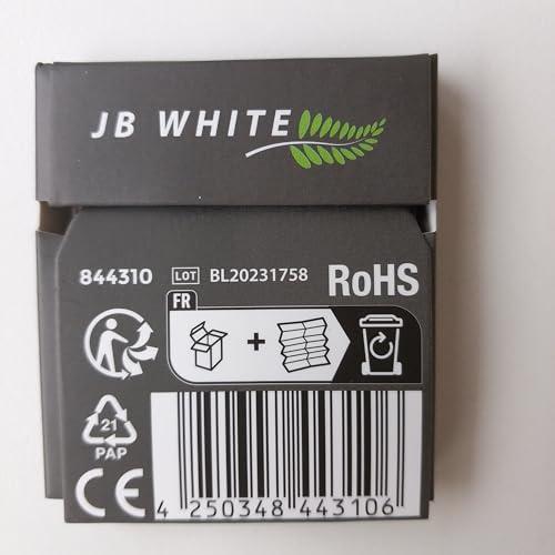 JB WHITE JB White - 6X Wax Guard for Oticon ProWax MiniFit Filter, Hearing Aid Supplies (1 Pack / 6 Pcs) Replacements Wax Filters for all MiniRITE Hearing Aid using miniFit Domes, Wax Guards Accessory