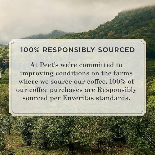 Peet's Coffee Peet's Coffee, Dark Roast Ground Coffee - Major Dickason's Blend 18 Ounce Bag