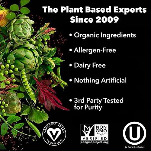 PlantFusion PlantFusion Complete Vegan Protein Powder - Plant Based Protein Powder With BCAAs, Digestive Enzymes and Pea Protein - Keto, Gluten Free, Soy Free, Non-Dairy, No Sugar, Non-GMO - Vanilla Pack of 12