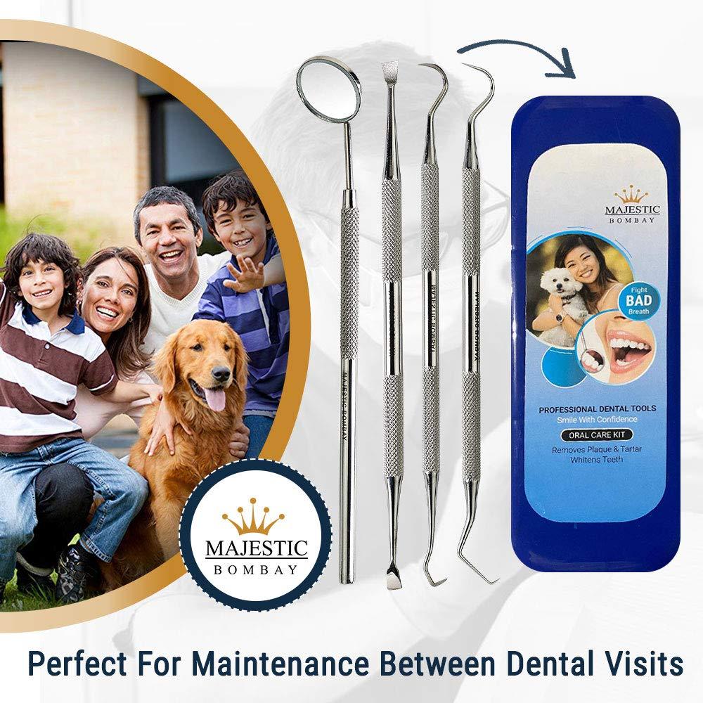 Majestic Bombay Dental Hygiene Tool Set - Stainless Steel Dental Tooth Pick, Mouth Mirror,Tarter Scraper and Plaque Remover - Dental Tool Kit is Ideal for Cleaning Use & Pet Friendly-Free Protective Case