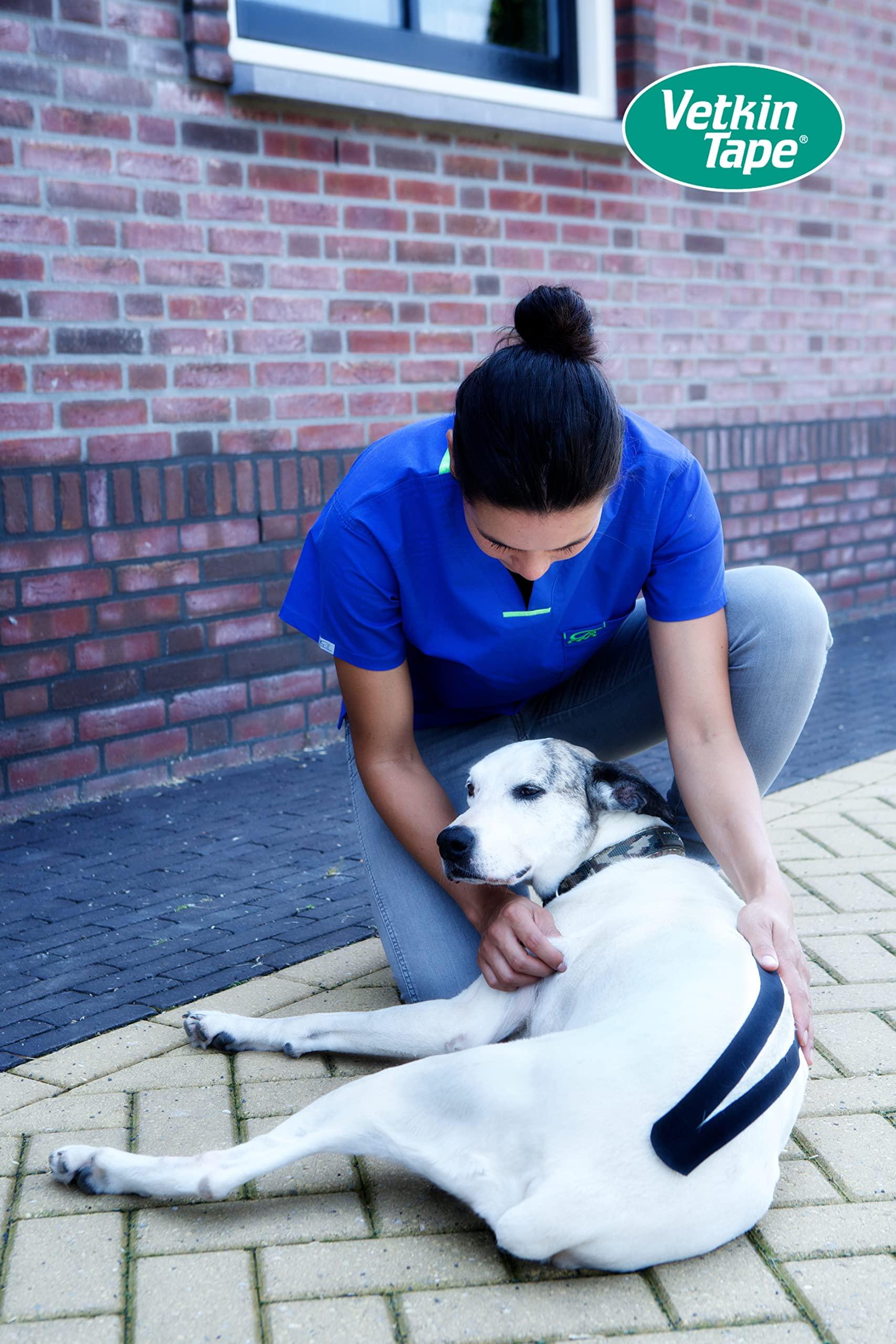 VETKIN VetkinTape Veterinary Kinesiology Tape Blue | kinesiology Tape For Horses & Dogs | Equine & Canine Kinesiotape | Latex Free and TV Quality Mark Certified Ktape | 4 inch | Pack of 1 Roll