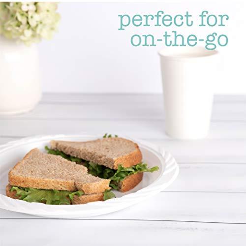 PLASTICPRO 100 Count Disposable 9 Inch White Plastic Dinner Plates large