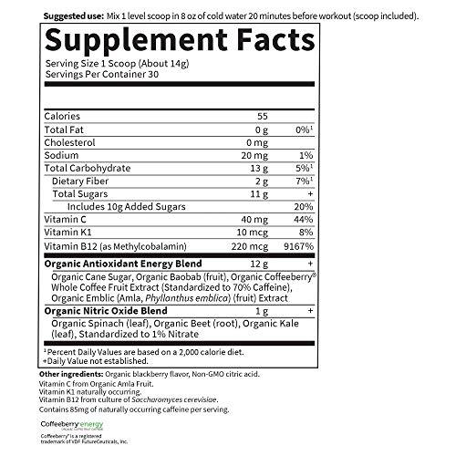 Garden of Life Garden of Life Sport Organic Plant Based Energy + Focus Clean Pre Workout Powder, with 85mg Caffeine, Natural No Booster, B12, Vegan, Gluten Free, Non-GMO, BlackBerry, 15.3 Oz
