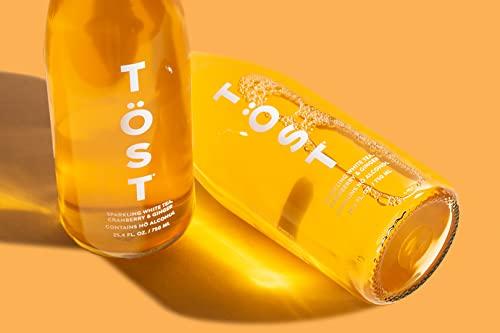 TÖST TOST White Cranberry, Ginger and Spice Sparkling White Tea, 750 ML