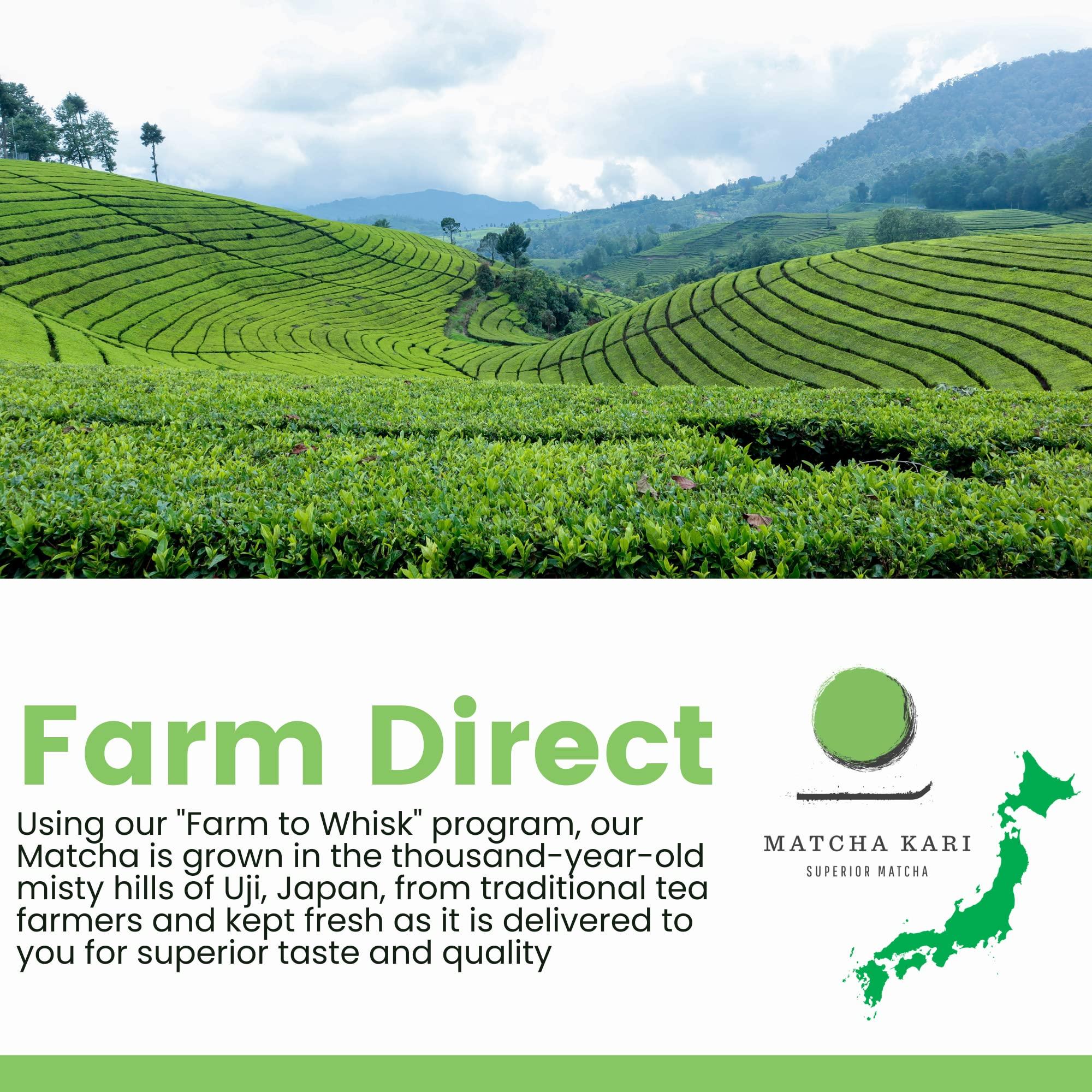 Matcha Kari Dr. Weil Matcha Kari Superior Japanese Matcha Green Tea Sticks (2) and 100g Culinary Bundle - Organic Ceremonial Grade Powder Single Serve Packets (24 packets) and 100g Culinary Grade Pouch