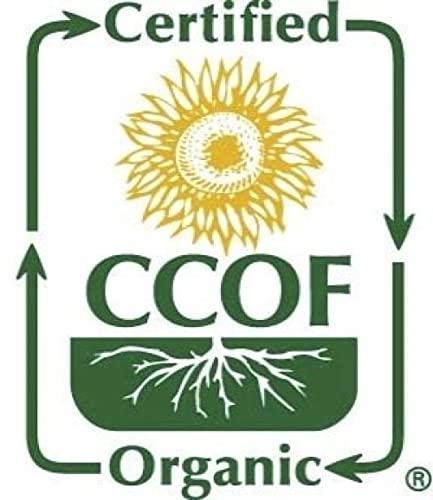 TerraVita Pear Decaf Black Tea (25 tea bags, ZIN: 531558) - 2 Pack