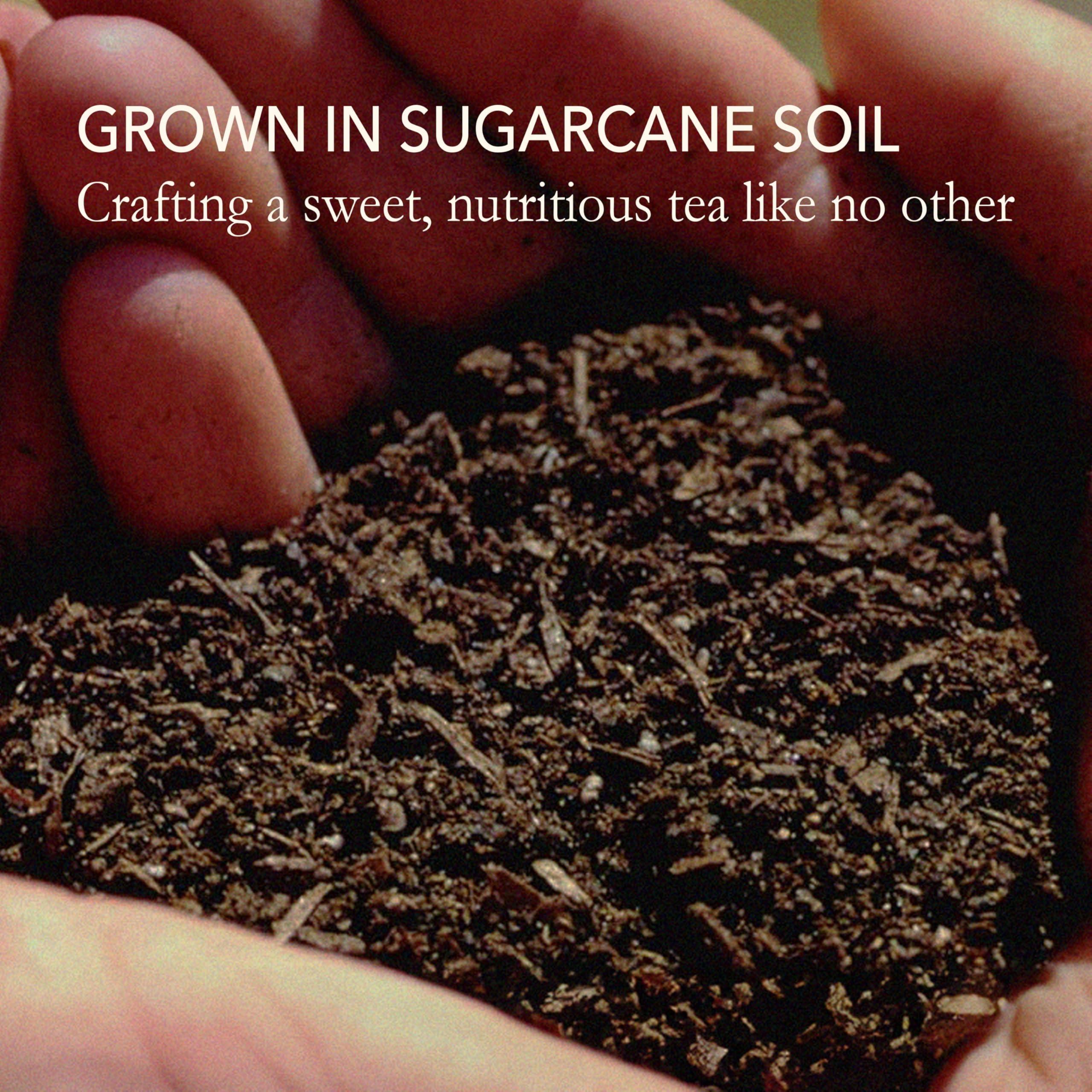 JAPANESE GREEN TEA CO. HARVESTED WITH IN JAPAN Japanese Green Tea Co. Aracha Gokuzyo Japanese Green Tea (50 Pack) Highest-Grade Deep Steamed Sencha Organic Japanese Crude Tea with Intense Aroma and Taste