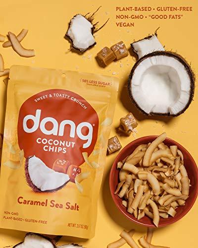 DANG Dang Toasted Coconut Chips | Caramel Sea Salt | 12 Pack | Vegan, Gluten Free, Non GMO, Healthy Snacks Made with Whole Foods | 3.17 Oz Resealable Bags